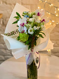 Vervain